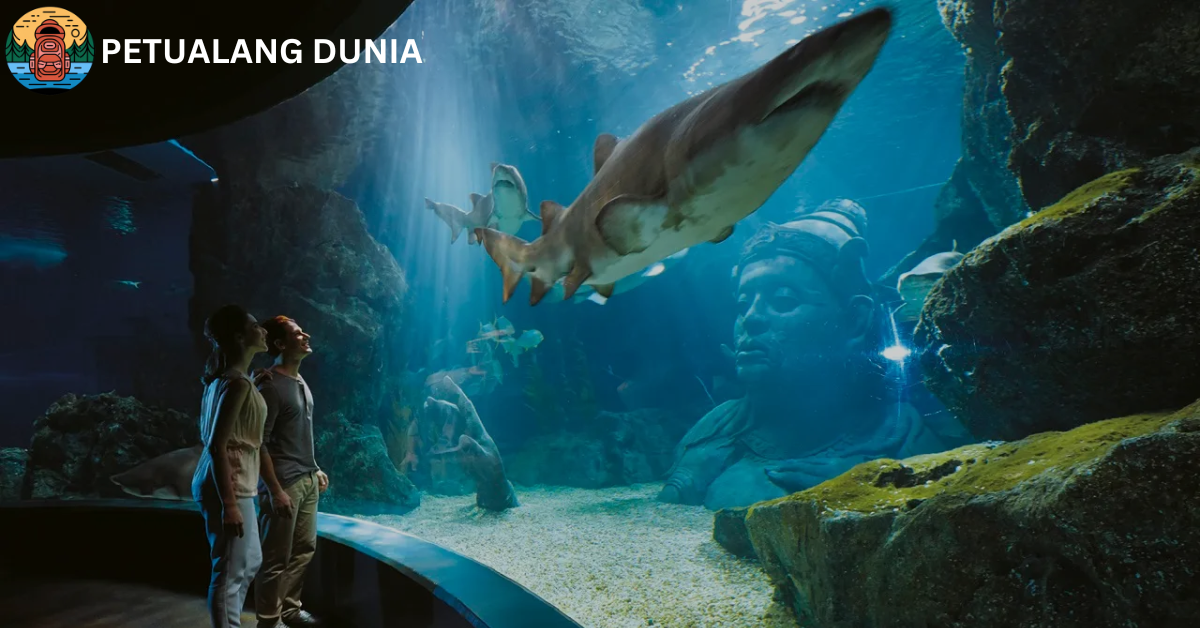 SEA LIFE Bangkok Ocean World - Petualang Dunia
