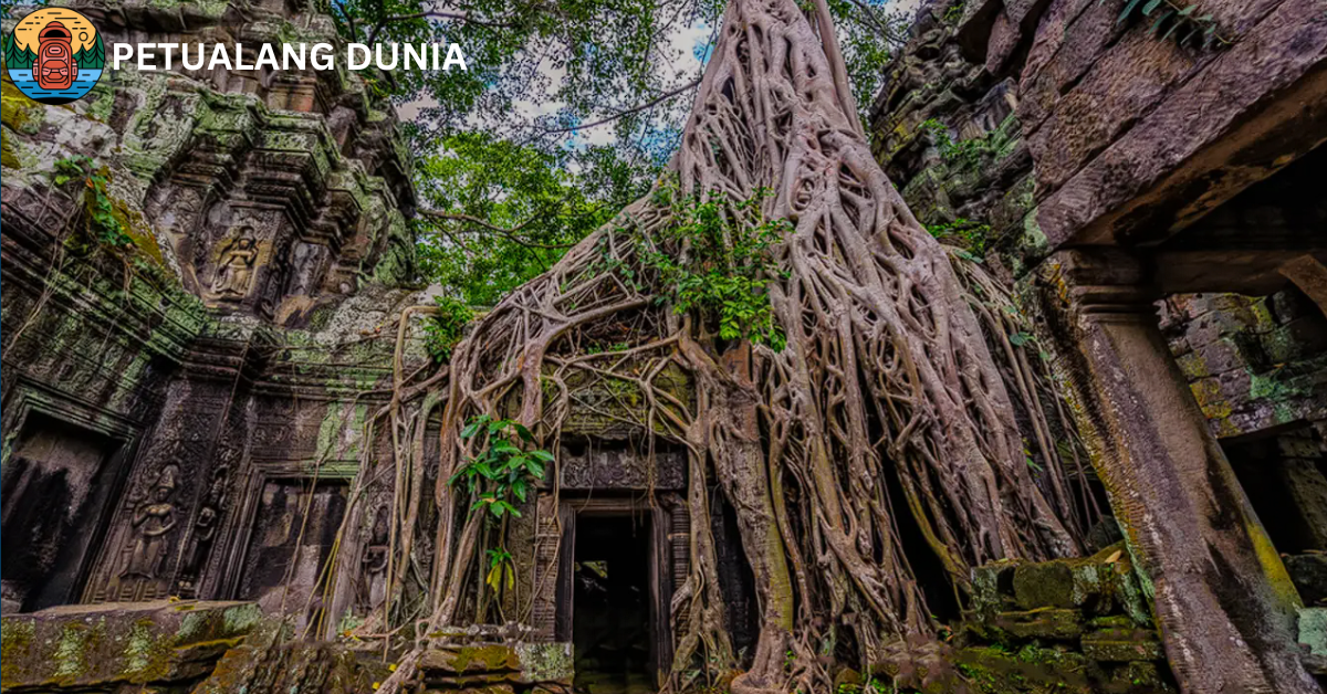 Ta Prohm - Petualang Dunia