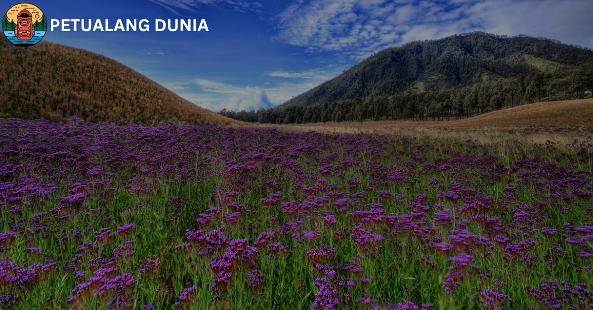 Oro-oro Ombo - Petualang Dunia