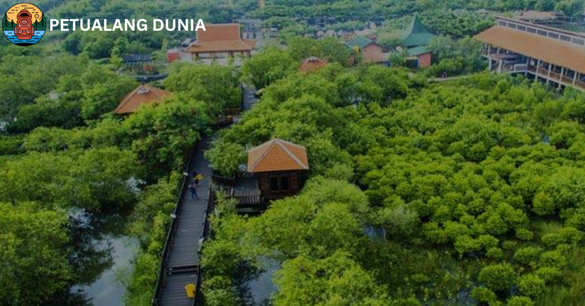 Ekowisata Mangrove Wonorejo Surabaya - Petualang Dunia