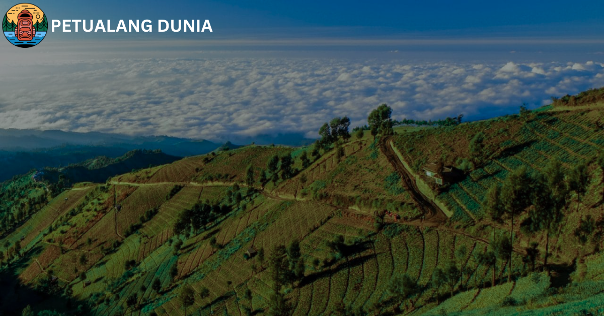 Puncak Nirwana Lumajang - Petualang Dunia