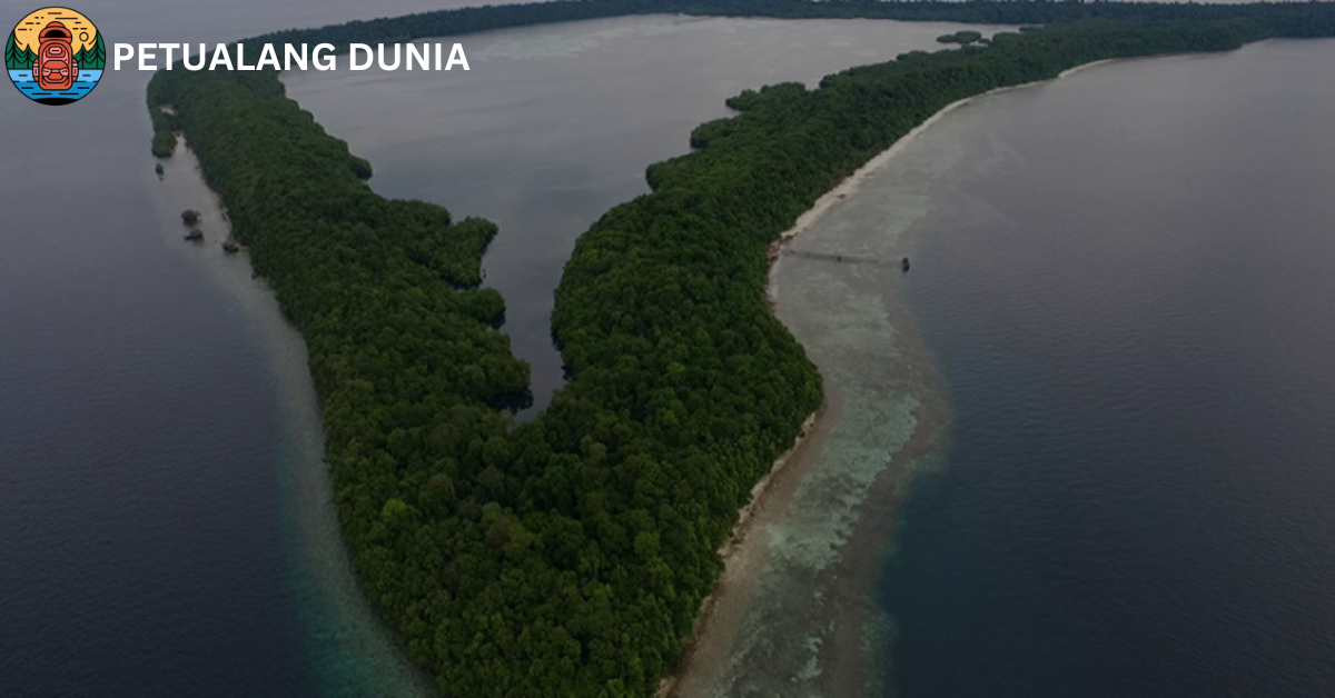 Pulau Kakaban - Petualang Dunia