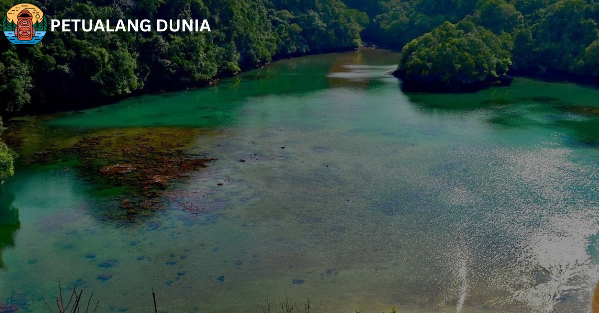 Pulau Sempu - Petualang Dunia