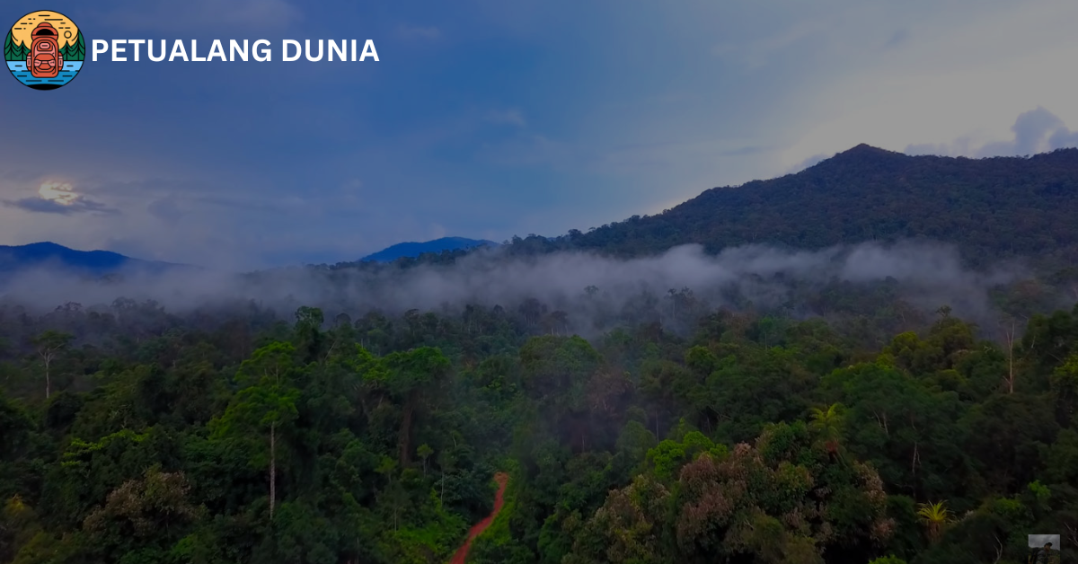 Gunung Bukit Raya - Petualang Dunia