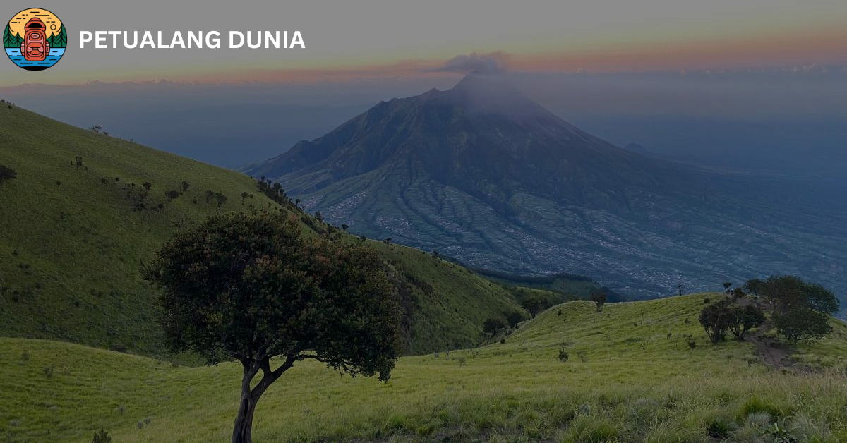Gunung Merbabu - Petualang Dunia